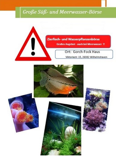 Aquariumbörse Zierfischbörse